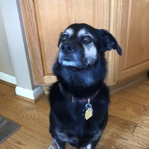 Meet your Posher, Brandon